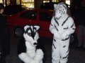 DSCF2688.JPG